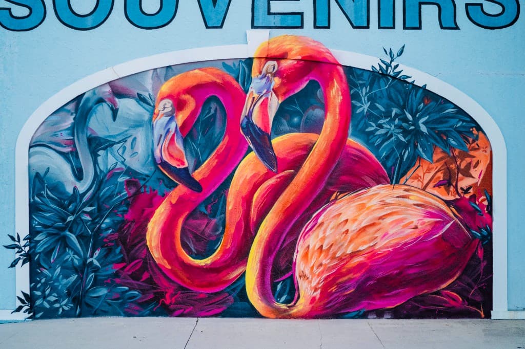 Colorful flamingo mural painted by Bulk Styles