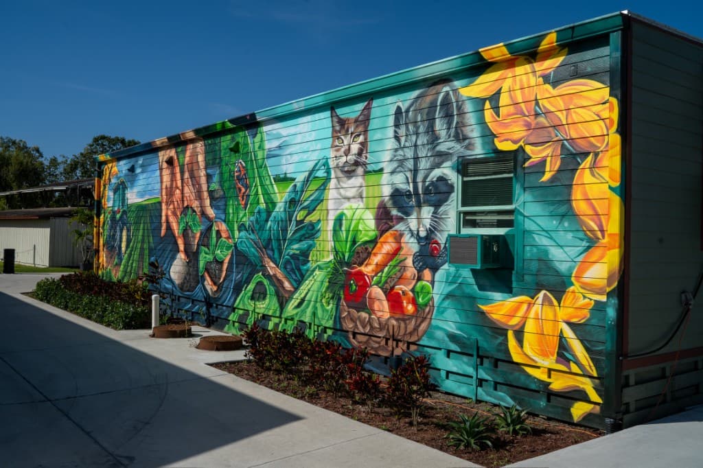 Mural with cat, raccoon, and harvest